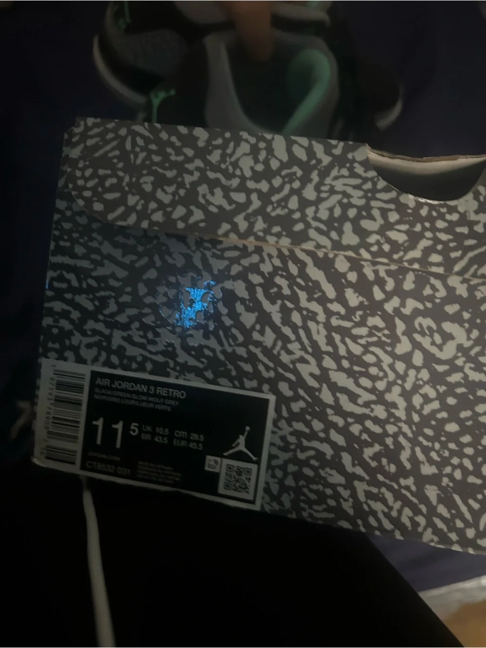 Jordan Men's Black Elephant Print Sneakers with Mint Accents
